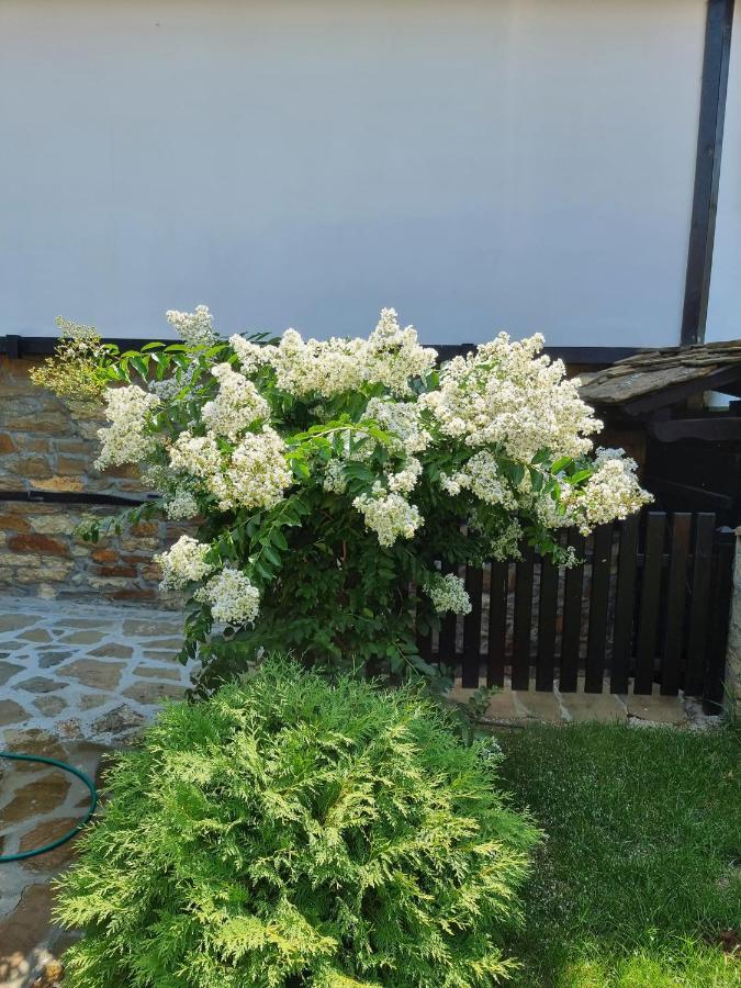 Семеен Хотел Чардаците Lovech Exterior photo